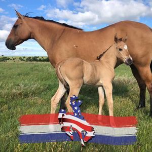 Meet your Posher, Audra